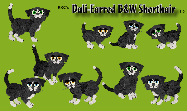 RKC's Dali-Earred Black & White Shorthair OW
