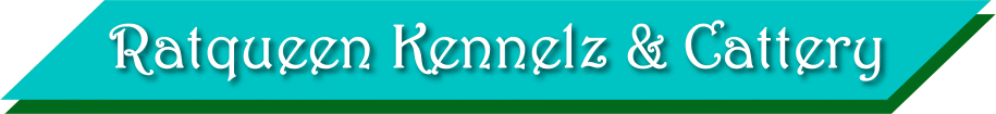 Ratqueen Kennelz & Cattery - RKC
